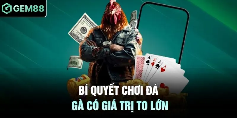 Bí quyết chơi đá gà có giá trị to lớn